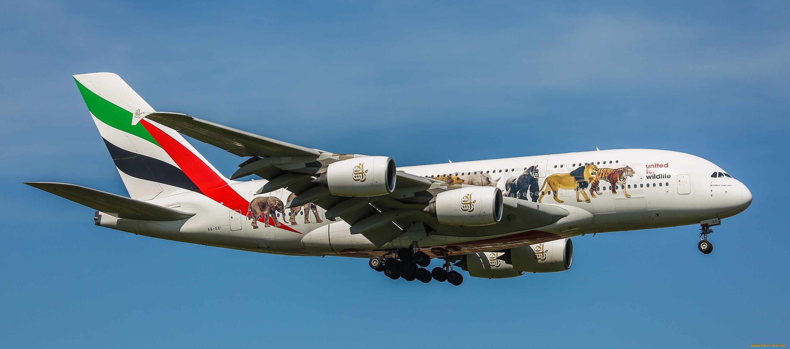 airbus a380, ,  , 